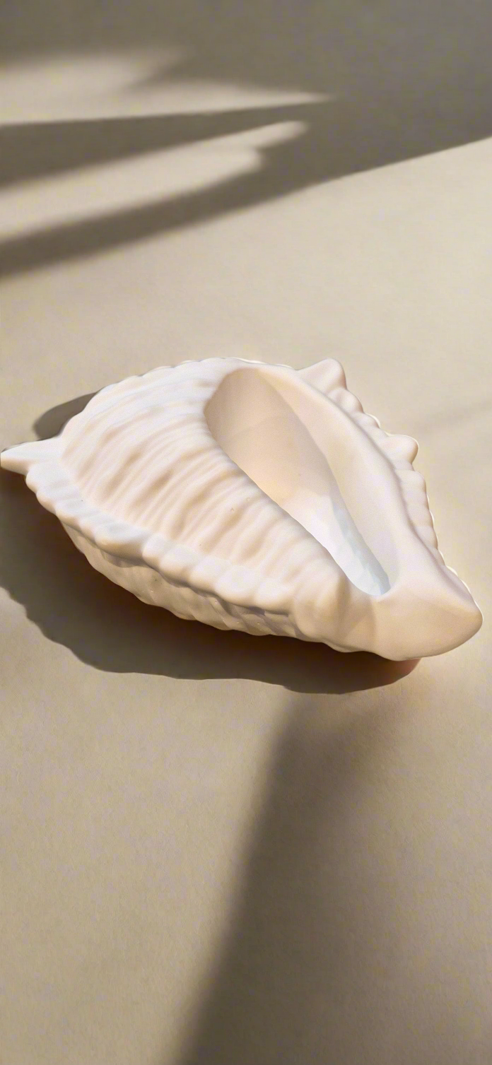 Shell dish