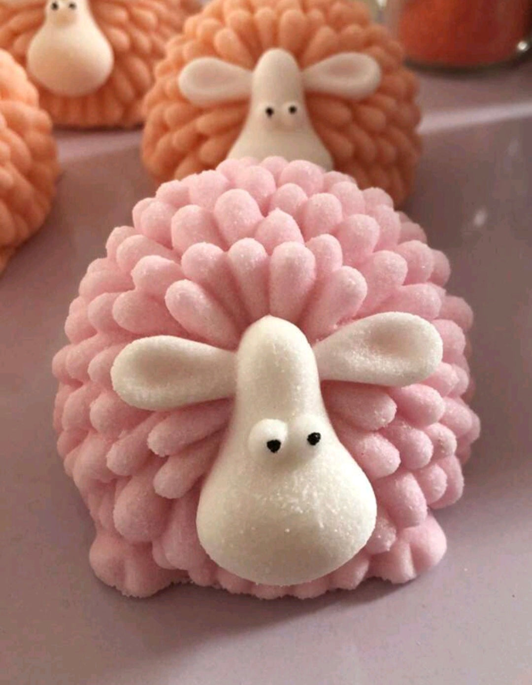 Sheep