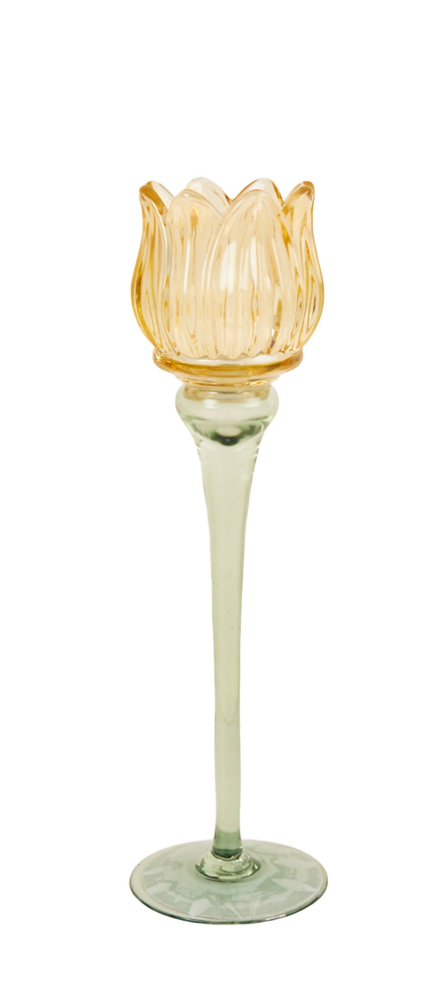 Tulip glass Candle