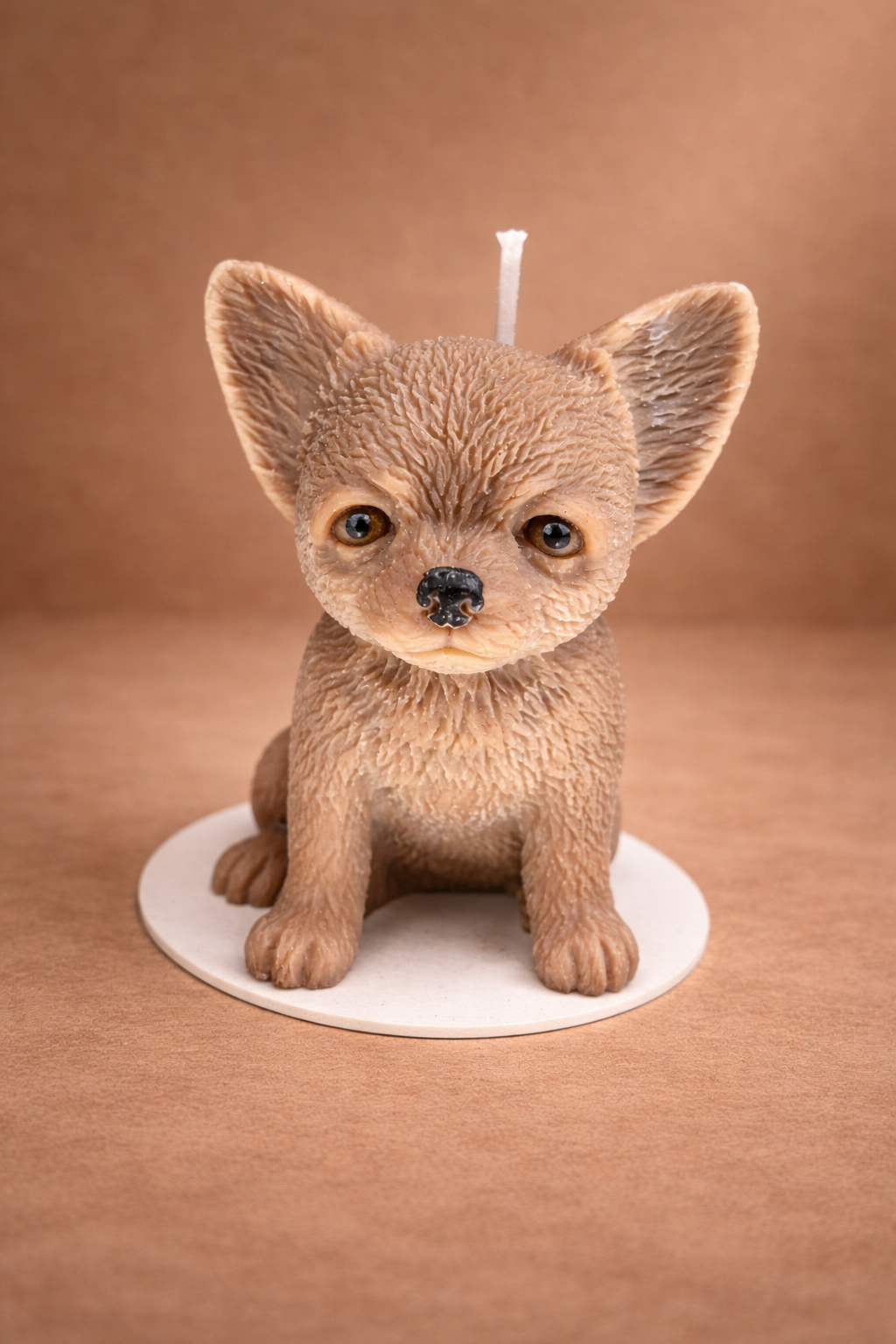 Chihuahua candle