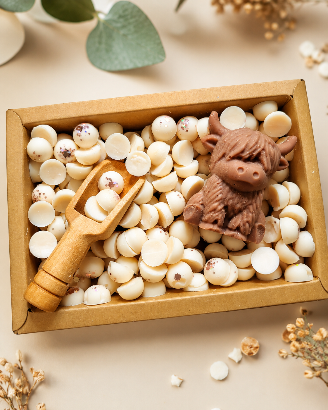 Highland Cow Scoopie Box