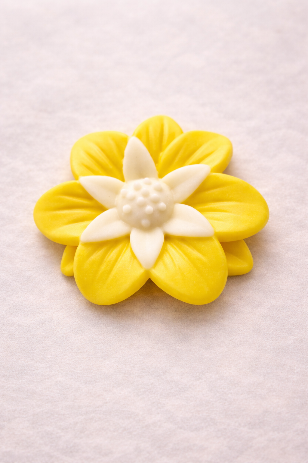 Daffodil Flower