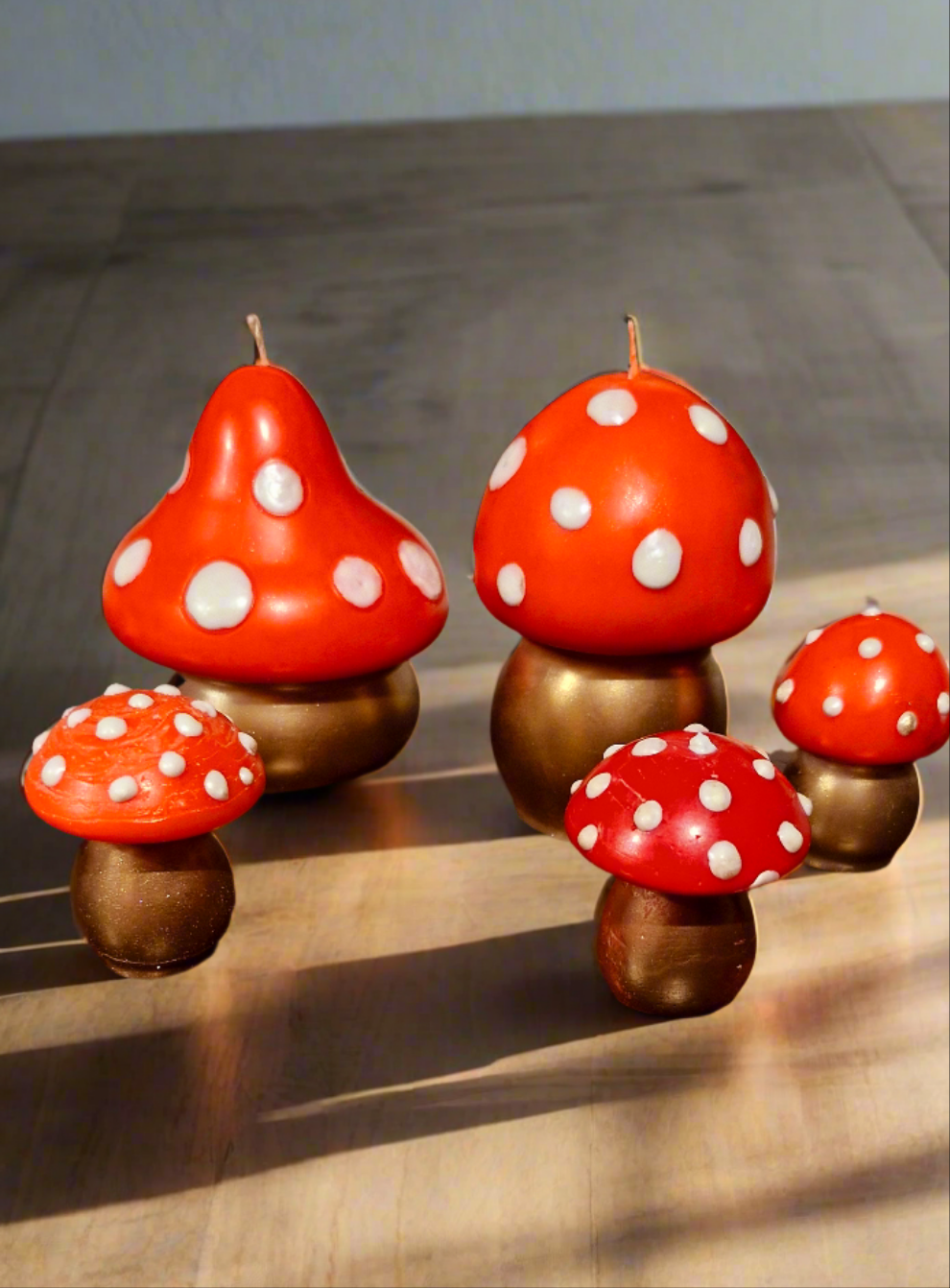 Mushroom set