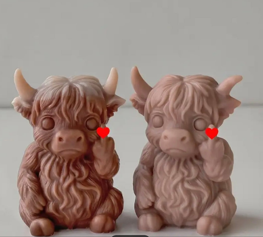 Naughty Highland cow