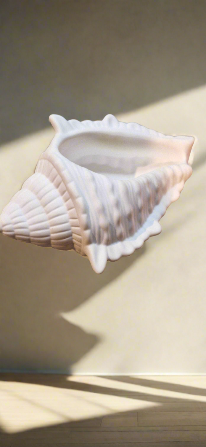 Shell dish