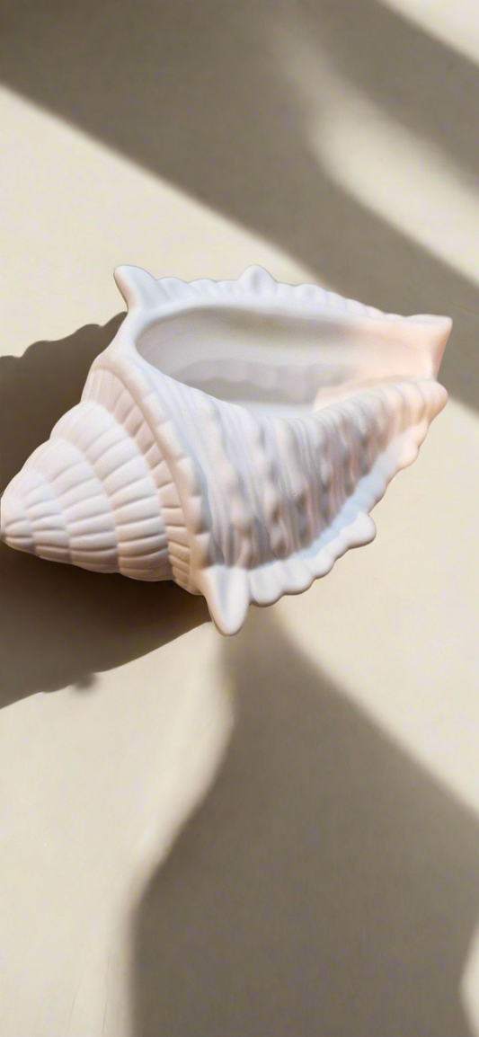 Shell dish