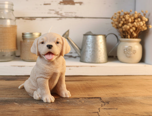 Labrador Candle