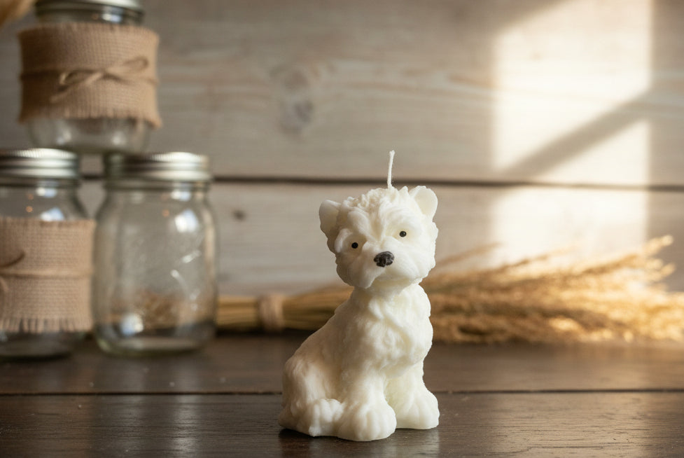 Highland Westie Terrier