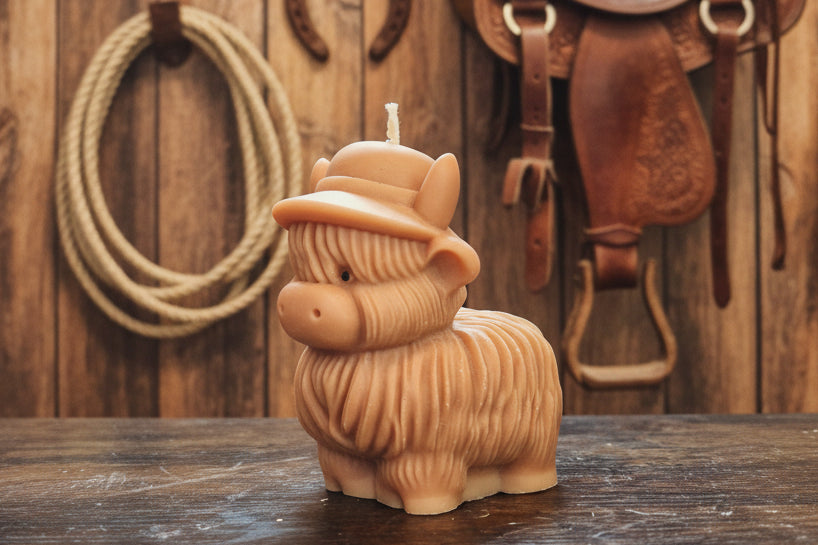 Daddy Highland Cow
