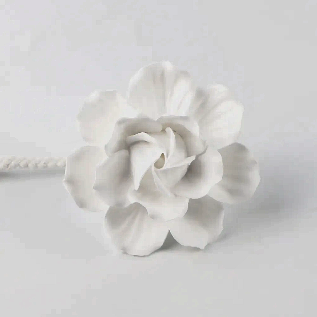 Gardenia Bloom Reed Diffuser 100ml | Luxury Flower Diffuser | Serene Glow