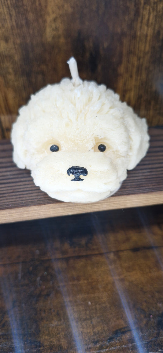 Puppy Head- White Musk and golden maple