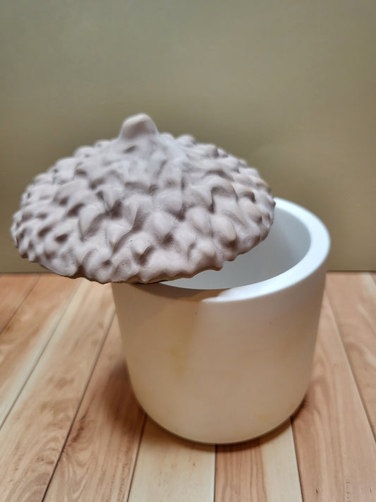 The Acorn Pot